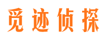 东丽捉小三公司